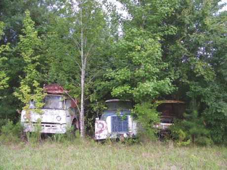 Three abandoned trucks